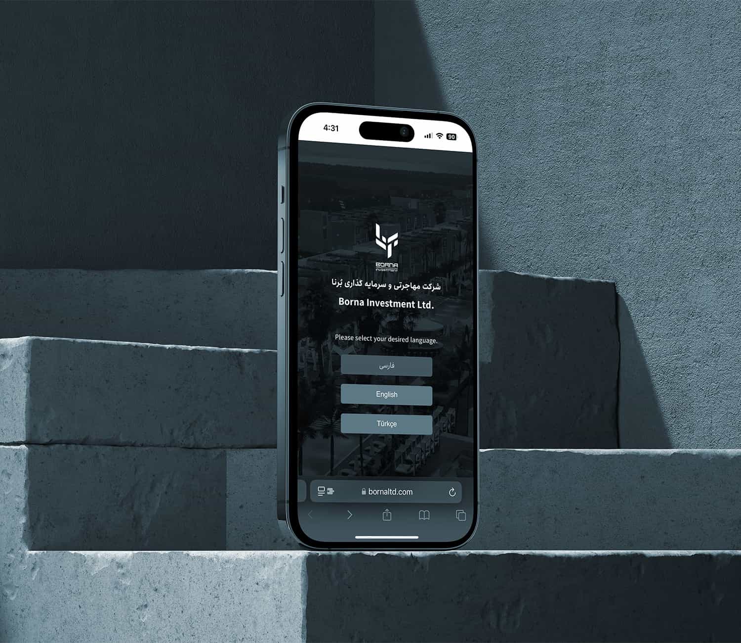 Borna Ltd. website homepage